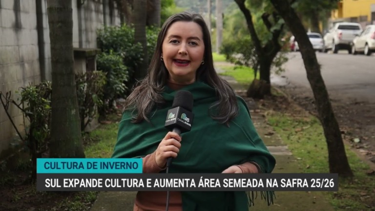 Área de canola no Rio Grande do Sul deve dobrar devido à crise do trigo