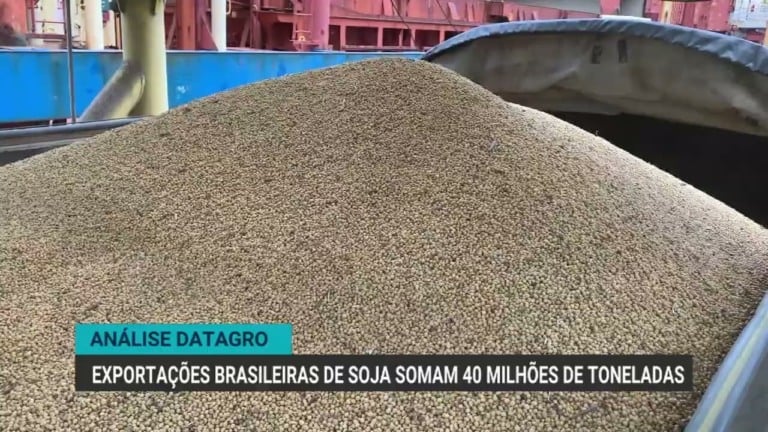 Exportações brasileiras de soja alcançam 40 milhões de toneladas em 2023