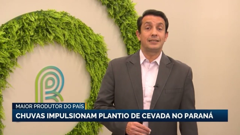 Paraná aumenta área de cevada em 21% e projeta safra recorde