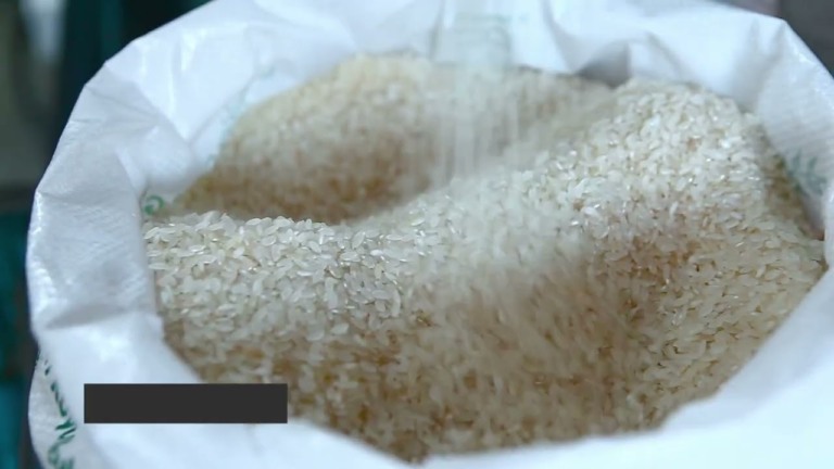 Colheita de café brasileiro deve atingir 66,7 milhões de sacas em 2026