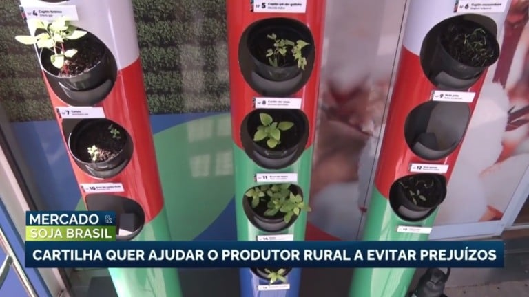 Cartilha orienta produtores rurais sobre pragas quarentenárias da soja
