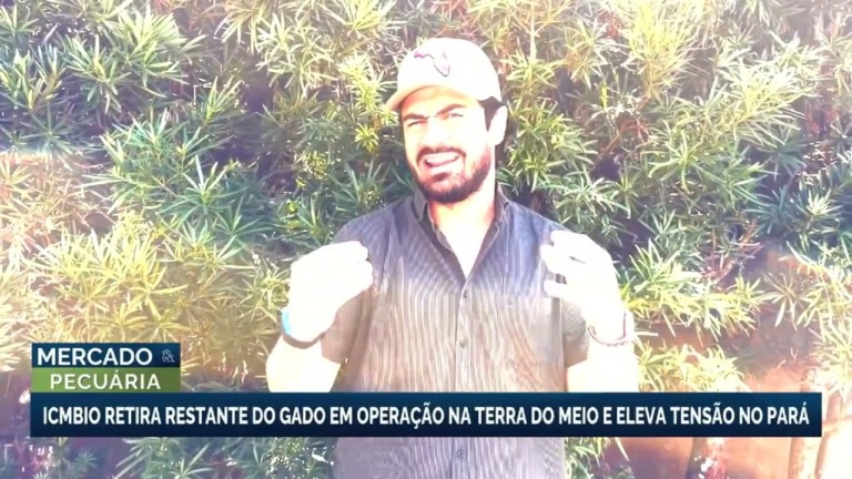 Operação do ICMBio apreende gado e gera tensão em São Félix do Xingu