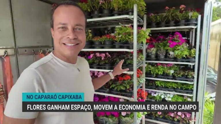 Flores impulsionam economia na Serra do Caparaó Capixaba