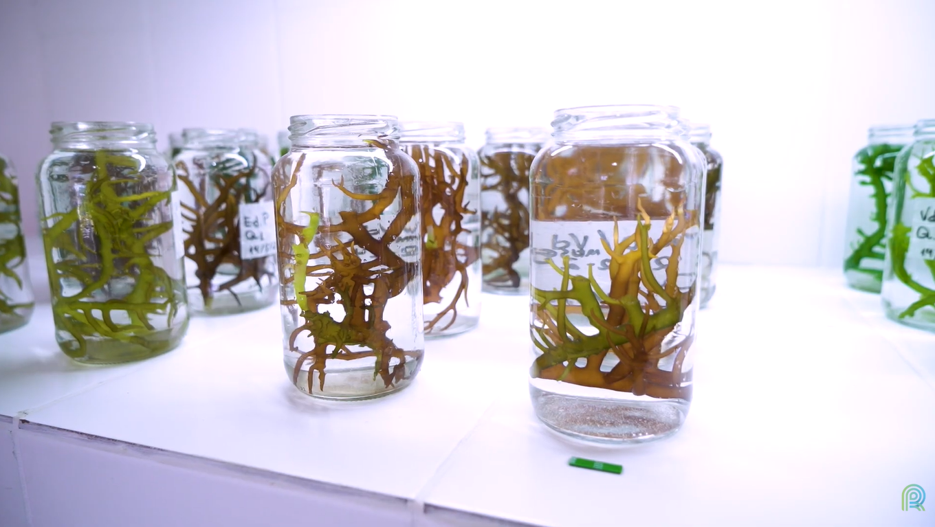 biobanco