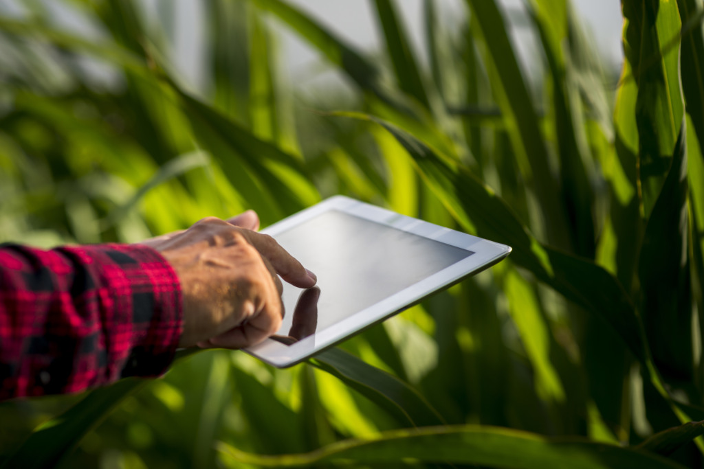 Imagem mostra análise de dados no agronegócio Imagem mostra análise de dados no agronegócio