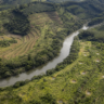 Edital destina R$ 618,75 milhões para restaurar 12,5 mil hectares na Bacia do Rio Doce