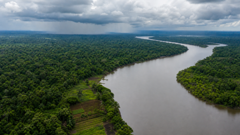 Projeto cria diretrizes de segurança alimentar climática para a Amazônia Legal