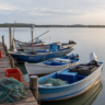 Seguro-defeso retroativo começa a ser pago a pescadores artesanais
