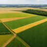 USDA eleva estimativa de área plantada com soja nos Estados Unidos