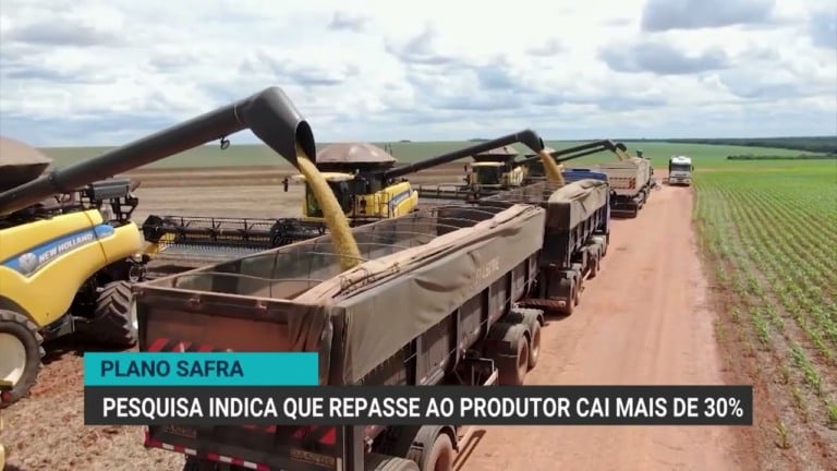 FGV Agro aponta queda de 30% no repasse de crédito aos produtores no Plano Safra