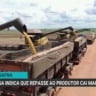 FGV Agro aponta queda de 30% no repasse de crédito aos produtores no Plano Safra