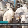 Brasil adota novas regras para carne exportada à União Europeia