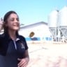 Pneumonia enzoótica suína: cuidados e prevenção nas granjas