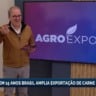 Brasil amplia exportações de carne suína em 180% nos últimos 15 anos