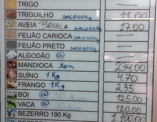 (Roberta Silveira/Canal Rural)