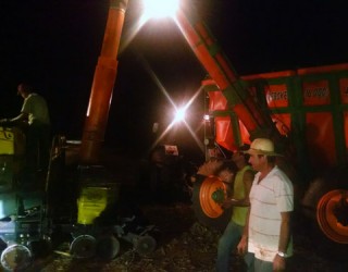 Fernanda Farias/Canal Rural