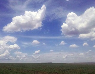Fernanda Farias/Canal Rural