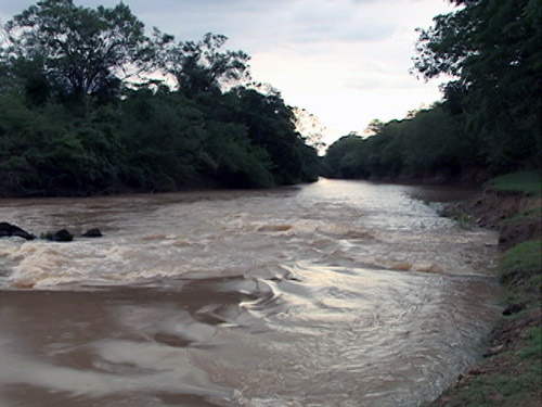 Ribeirão Entre Ribeiros garante o abastecimento dos produtores do noroeste de Minas Gerais (Reprodução/Canal Rural)