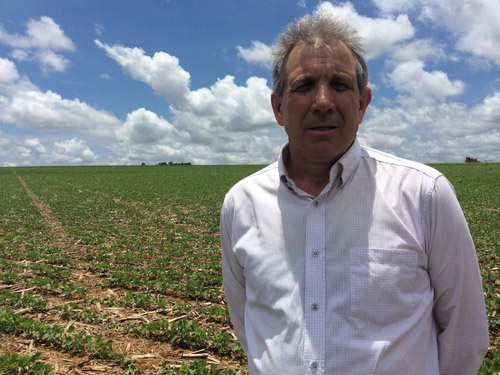 O gaúcho José Carlos Ferrigolo produz soja em Cabeceira Grande (MG) (Roberta Silveira/Canal Rural)