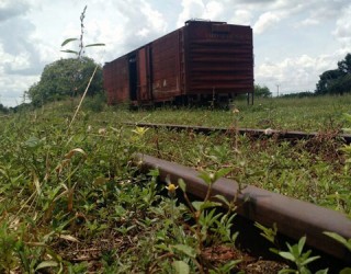 Fernanda Farias/Canal Rural