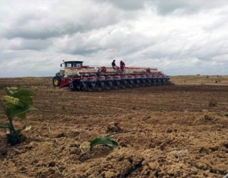 Fernanda Farias/Canal Rural
