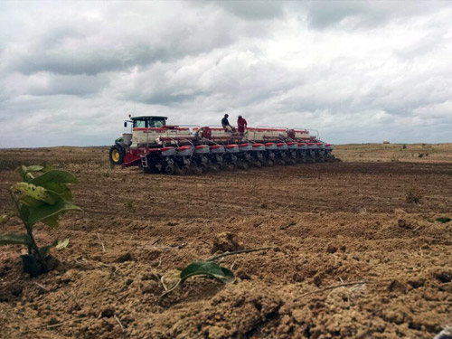 Fernanda Farias/Canal Rural