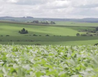 Reprodução/Canal Rural