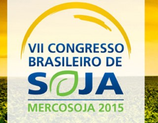 Divulgação Divulgação