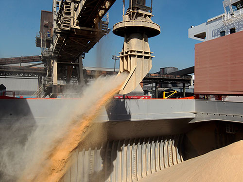 Brasil deve exportar quase 12 milhões de toneladas de soja em julho