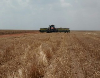 Pedro Silvestre/Canal Rural