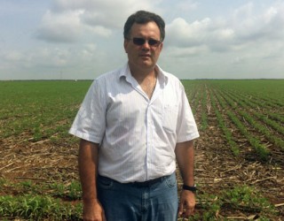 Produtor Mauro Reidi dá como certa a quebra de produtividade e já vai diminuir a área do milho safrinha em 50% (Manaíra Lacerda/Canal Rural)