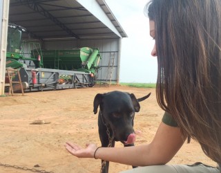 Produção/Canal Rural