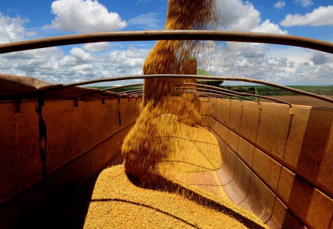 Colheita da soja ganha ritmo e alcança 75% da área no Brasil