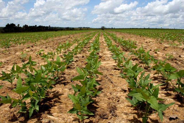 Clima: poucas chuvas neste final de ano