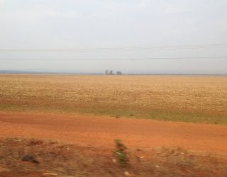 A pequena grande Campos de Julio