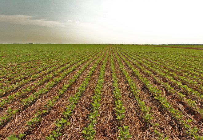 O Matopiba está mesmo no limite de expansão de área?