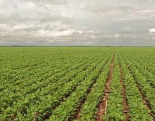 Foto: Áureo Lantmann