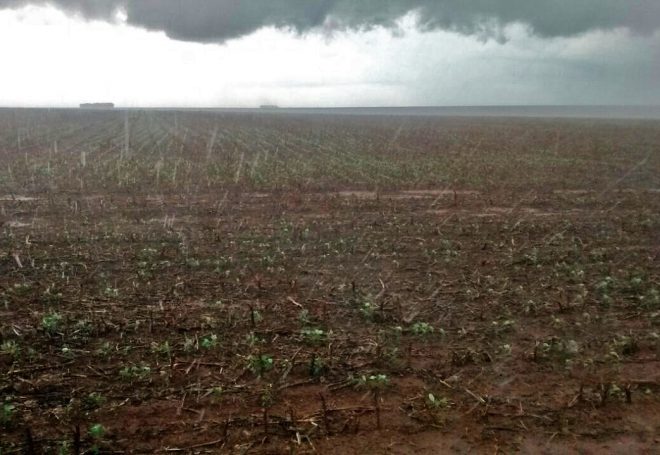 Clima: chuvas para o Sul e seca no Nordeste