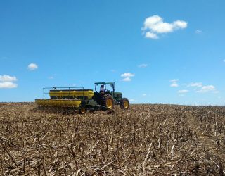 Clima atrapalha e plantio da soja ainda não começou em Mato Grosso do Sul