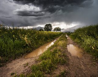 Chuvas retornam para o Sul no fim de semana e ajudam lavouras de soja