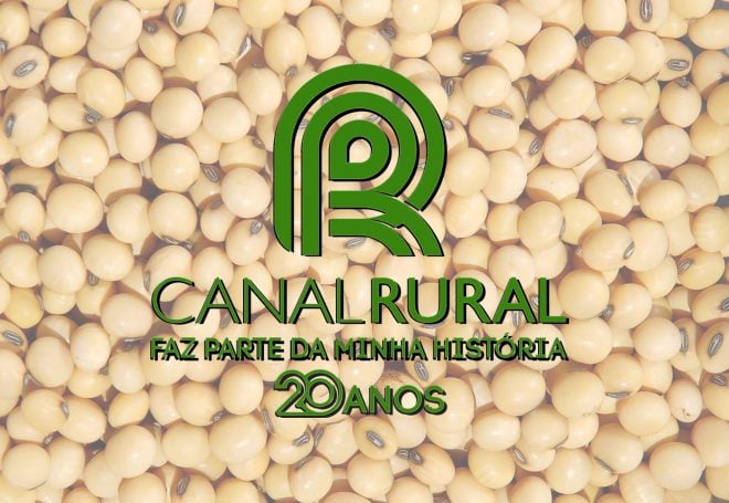 Nos 20 anos do Canal Rural, a produção de soja quadruplicou