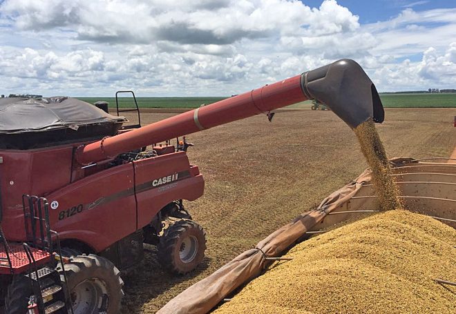 Cinco regiões praticamente concluíram a colheita da soja no Paraná