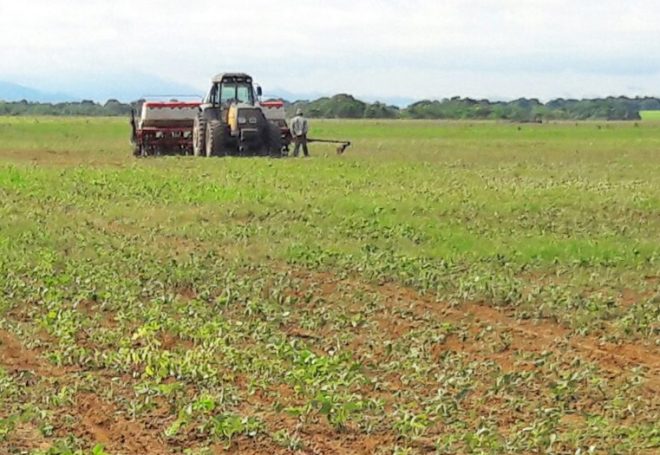 Com tempo seco e solo a 70 °C, plantio da soja deve atrasar no Tocantins
