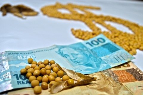 Soja tem dia de preços mistos e pouca oferta no Brasil