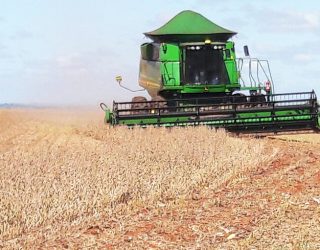 Atenção sojicultores: meteorologia prevê janela de tempo seco