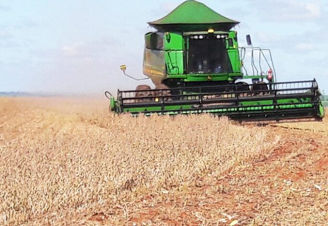 Mais soja no mercado: Argentina avança na colheita e prevê safra bem produtiva