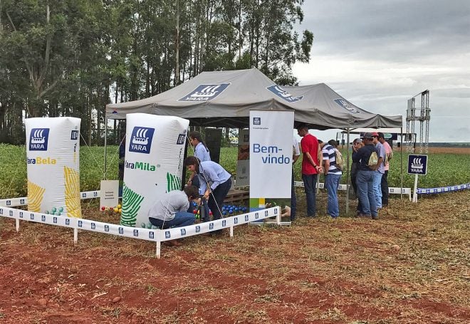 Dia de campo destaca métodos para melhorar a produção de soja