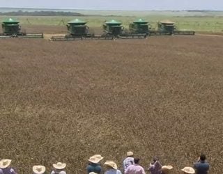 AO VIVO: colheitadeiras em campo, chegou a hora da chuva de soja!