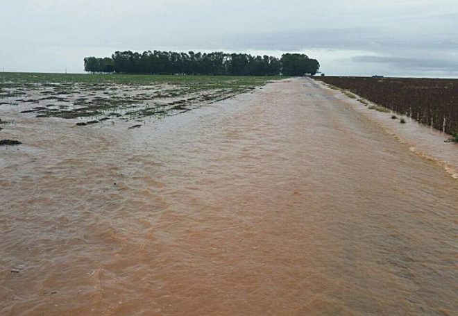 Áreas de soja da Argentina enfrentam chuvas e colheita fica travada