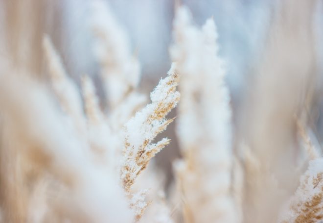 Depois das chuvas, agora o Rio Grande do Sul tem previsão de neve